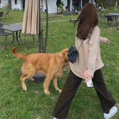 威廉王子